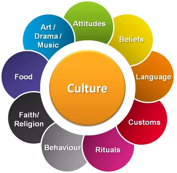 what are the four components of culture
